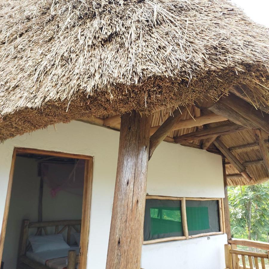 Songbird Safari Lodge & Campsite Katunguru エクステリア 写真