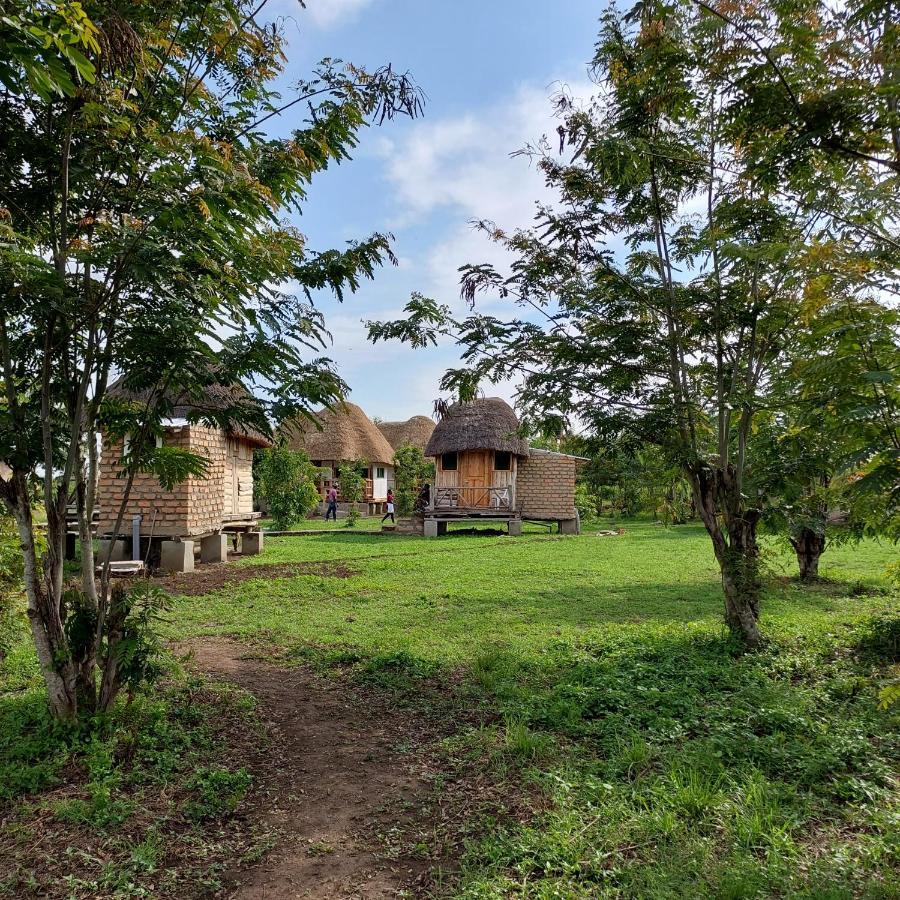 Songbird Safari Lodge & Campsite Katunguru エクステリア 写真
