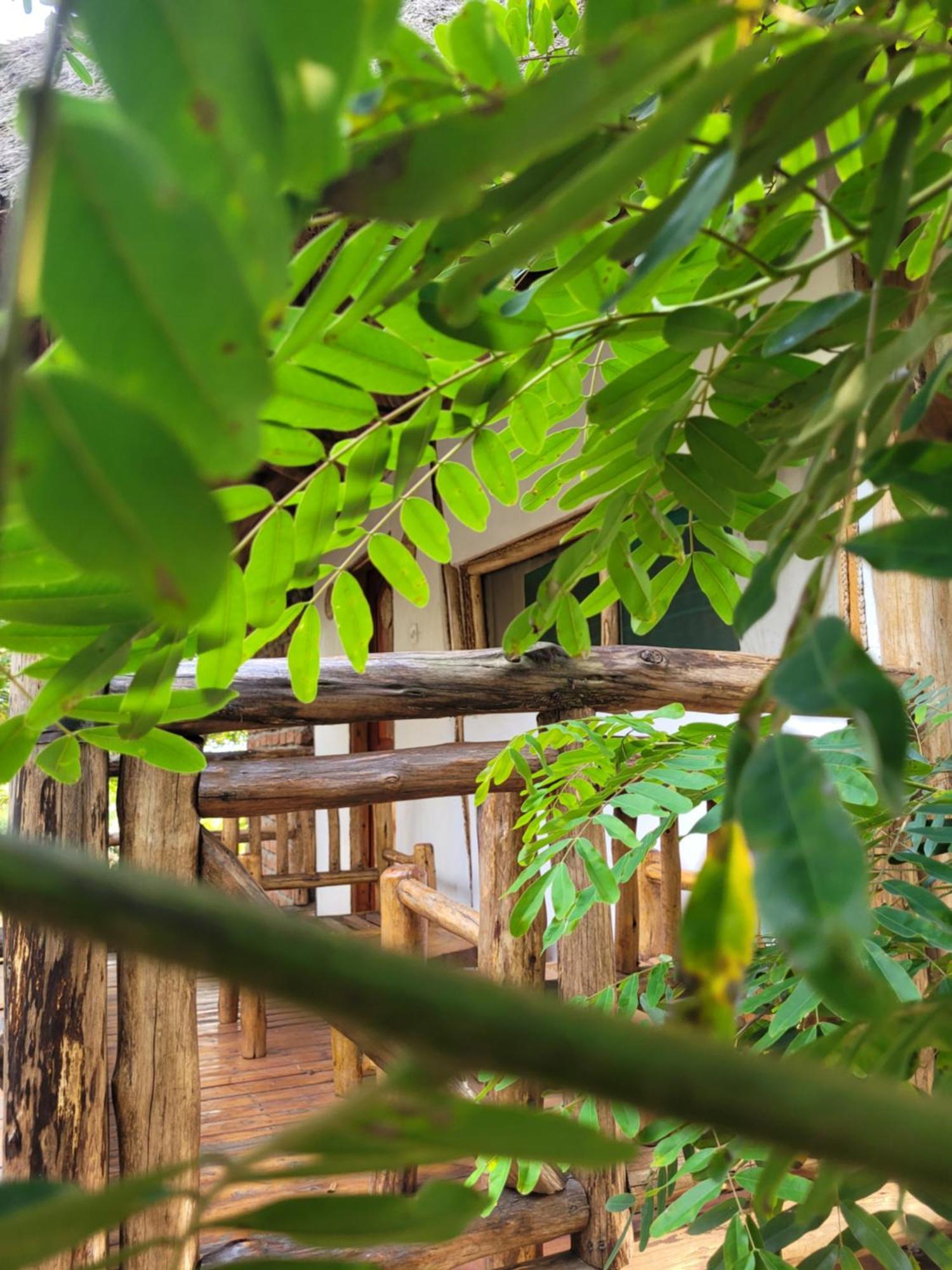 Songbird Safari Lodge & Campsite Katunguru エクステリア 写真